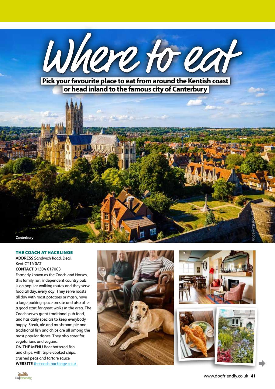 Dog Friendly Preview Pages