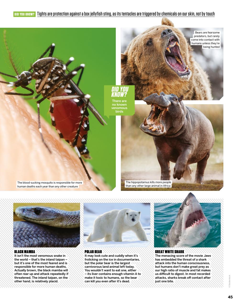 How It Works Preview Pages