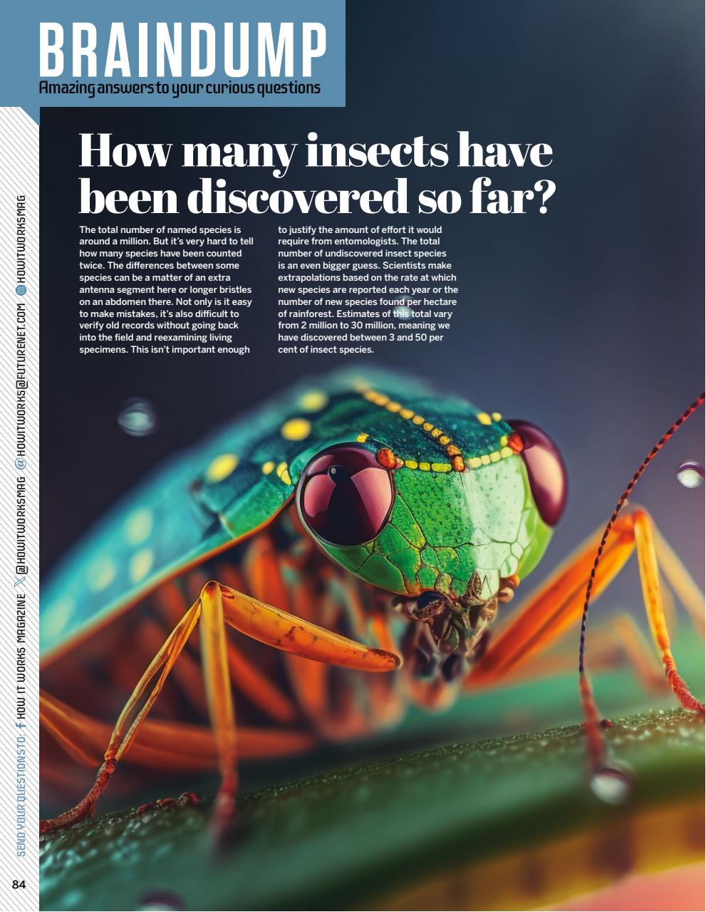 How It Works Preview Pages