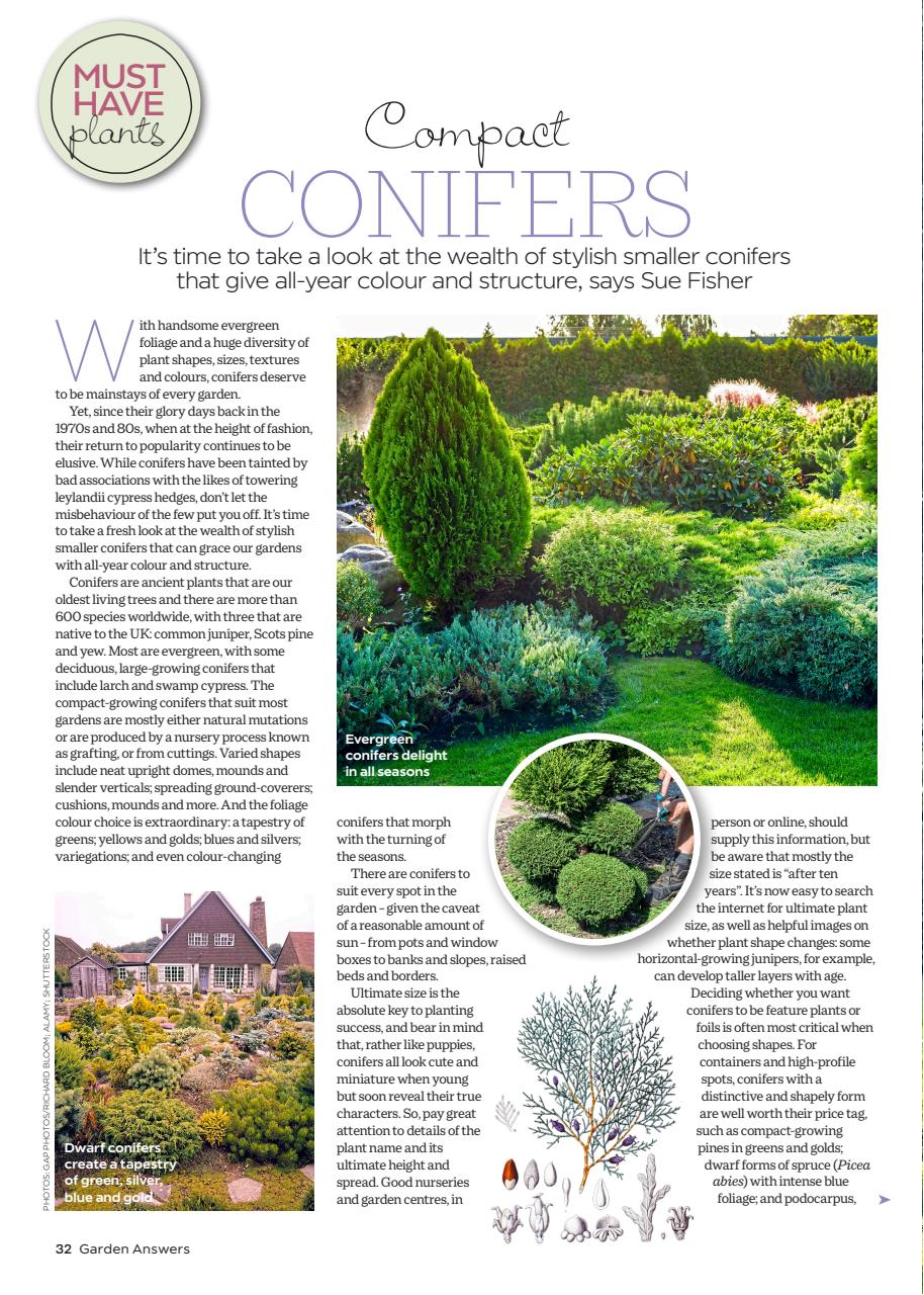 Garden Answers Preview Pages