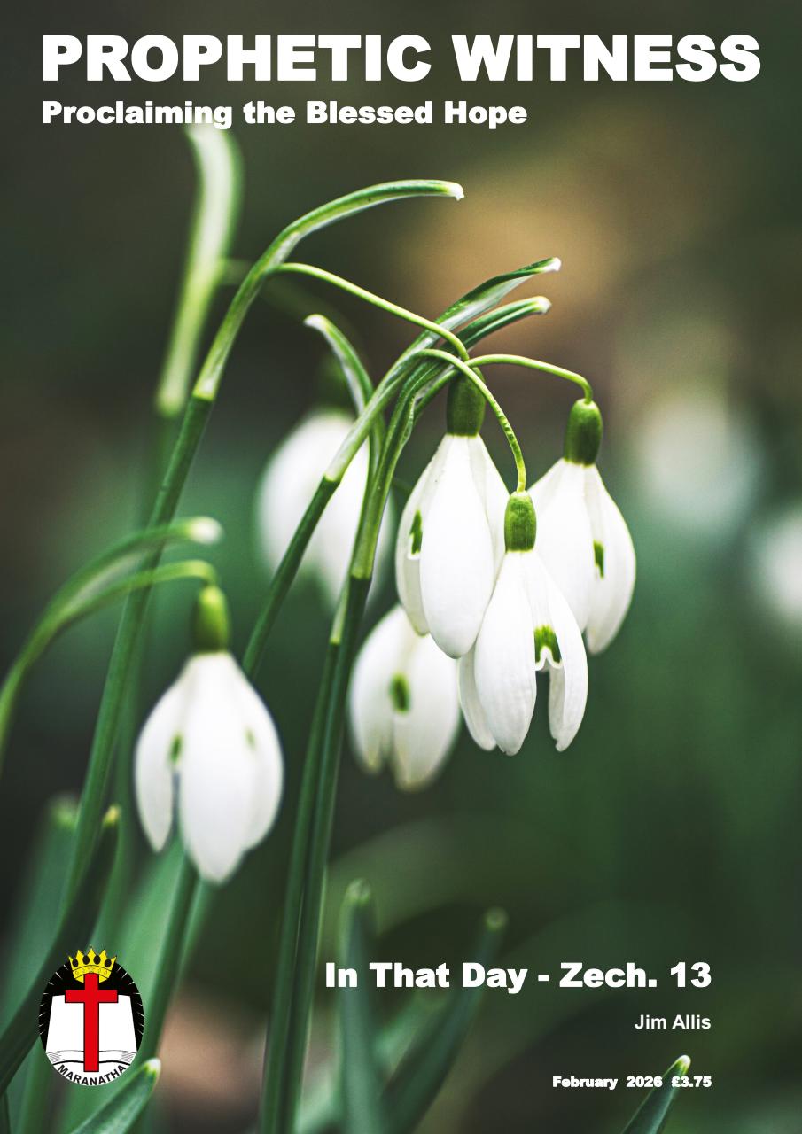 Prophetic Witness Preview Pages