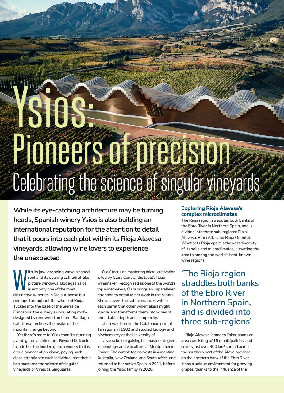 Decanter Preview Pages