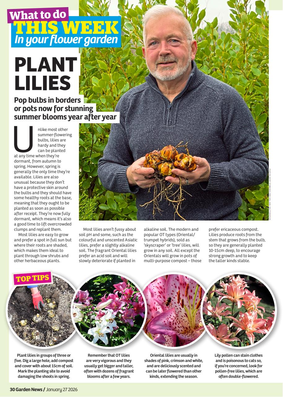 Garden News Preview Pages