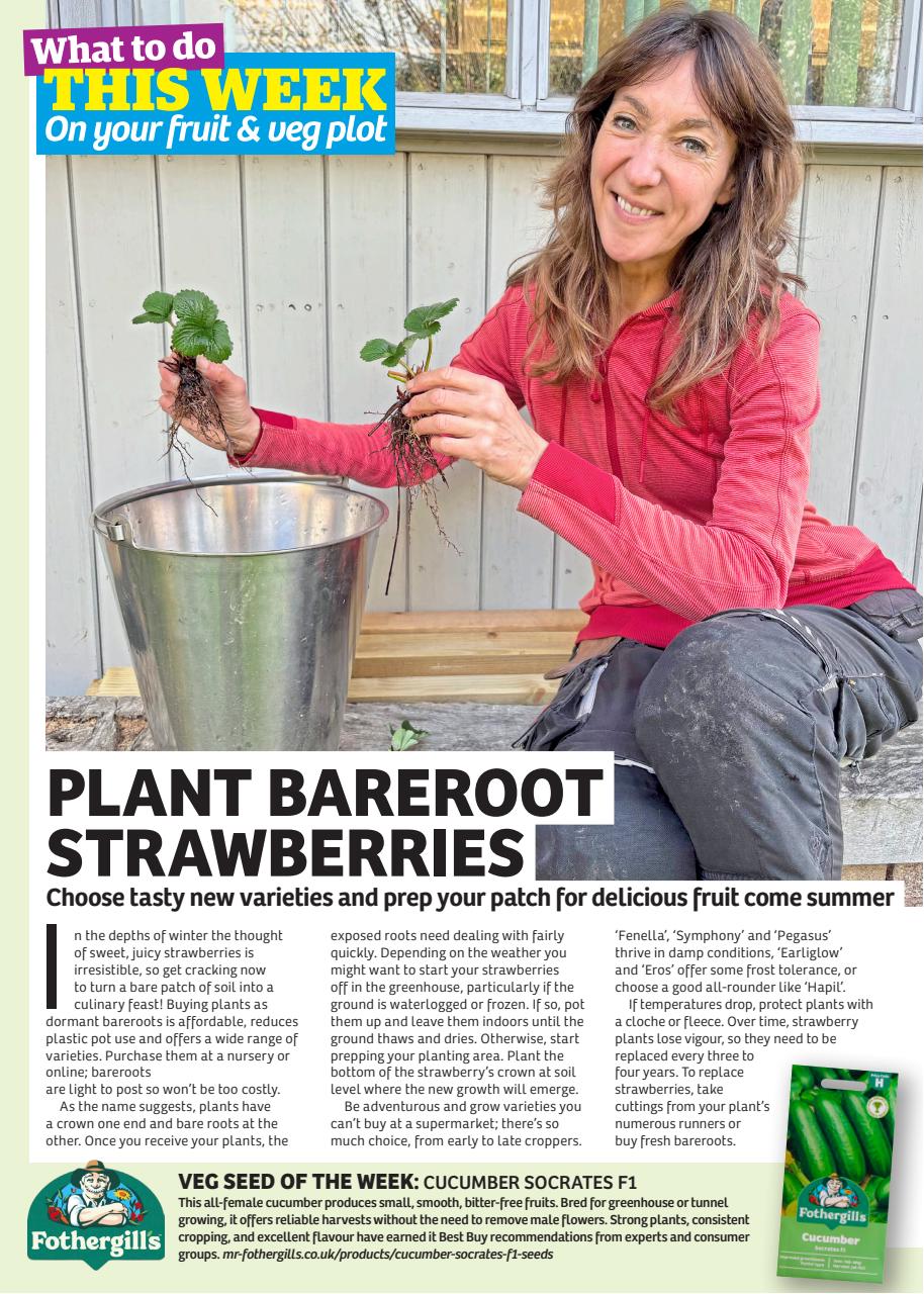 Garden News Preview Pages
