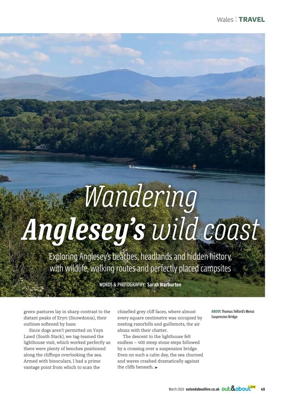 MMM magazine Preview Pages