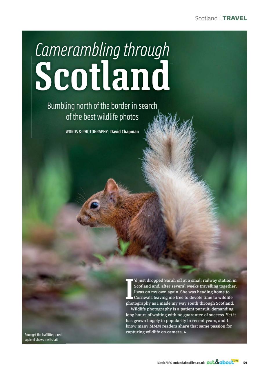 MMM magazine Preview Pages