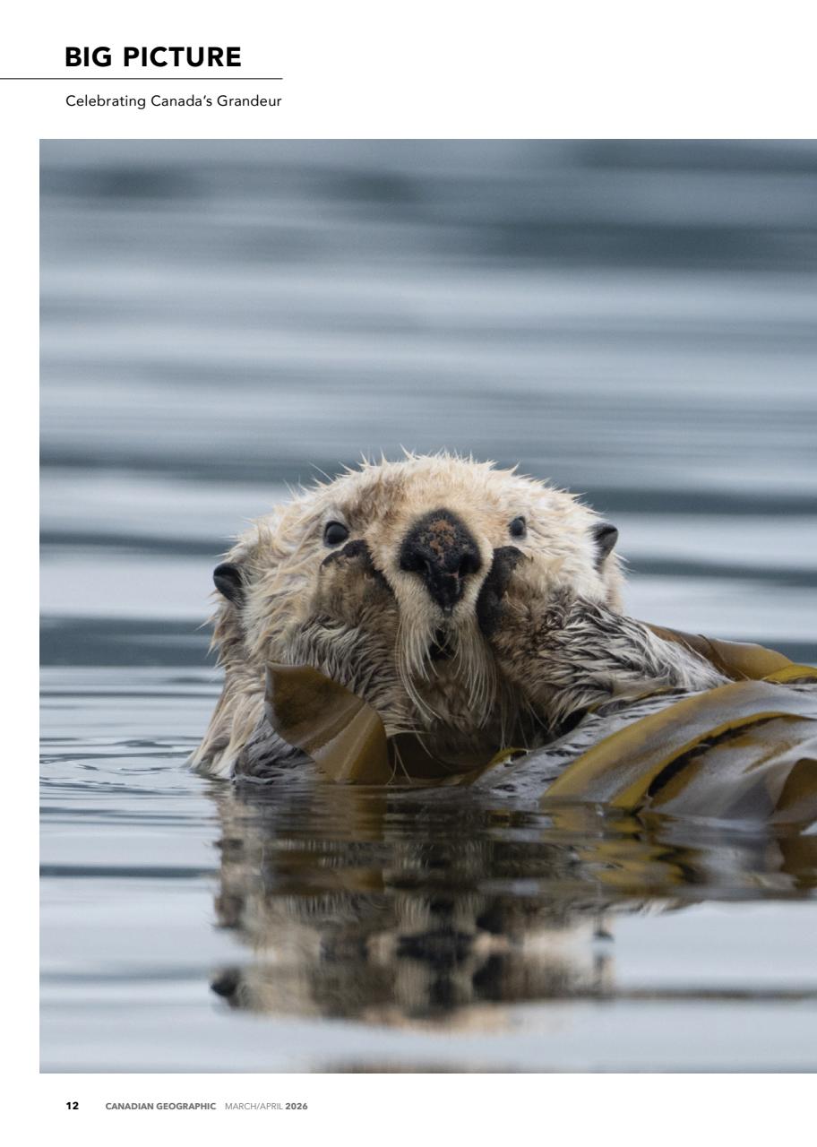 Canadian Geographic Preview Pages