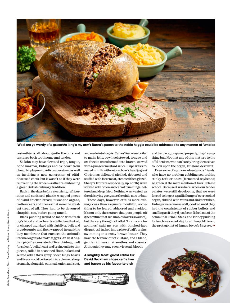 Country Life Preview Pages