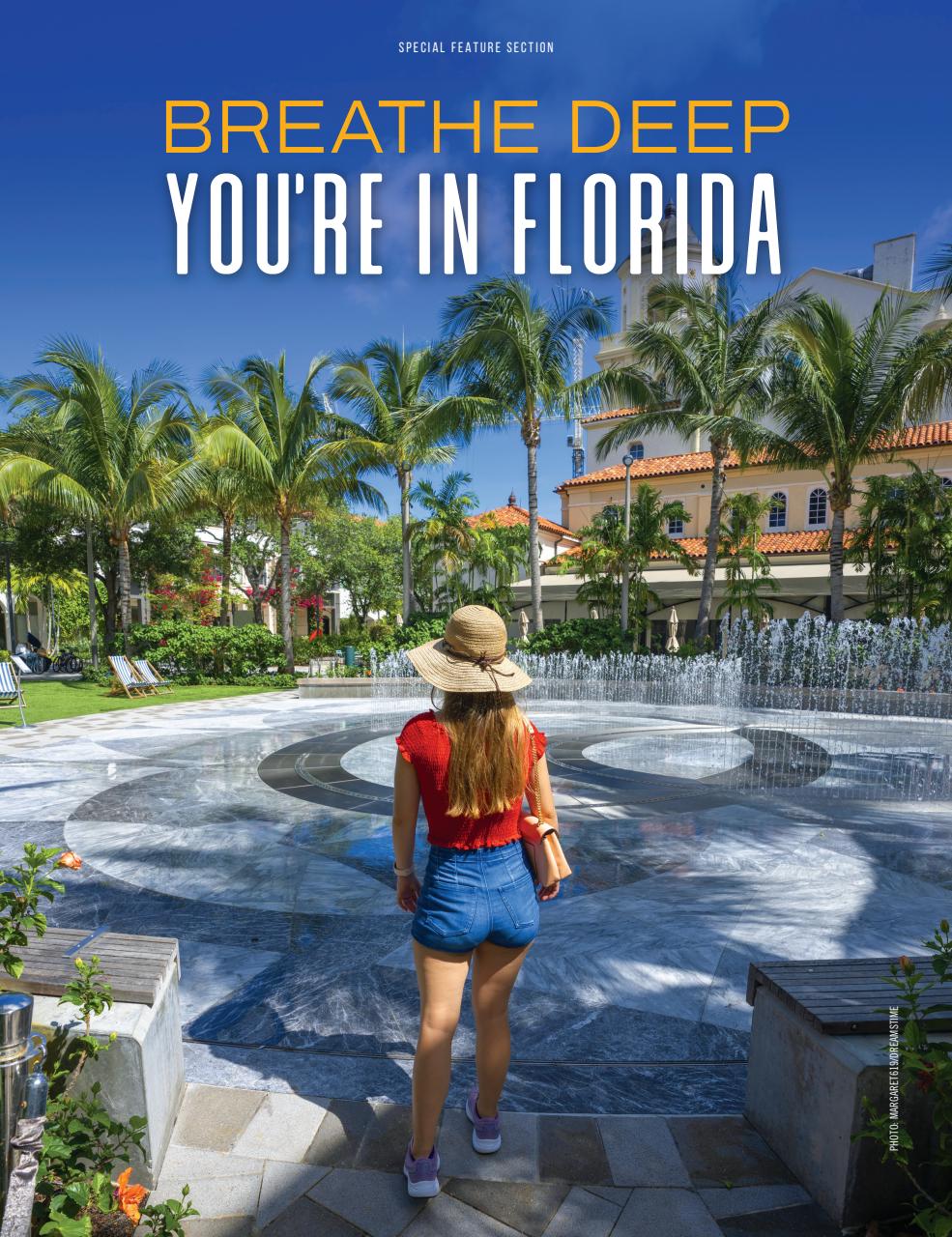 Dreamscapes Preview Pages