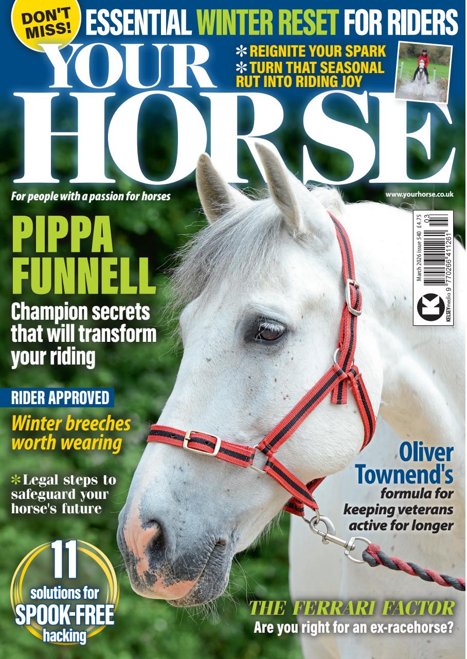 Your Horse Preview Pages