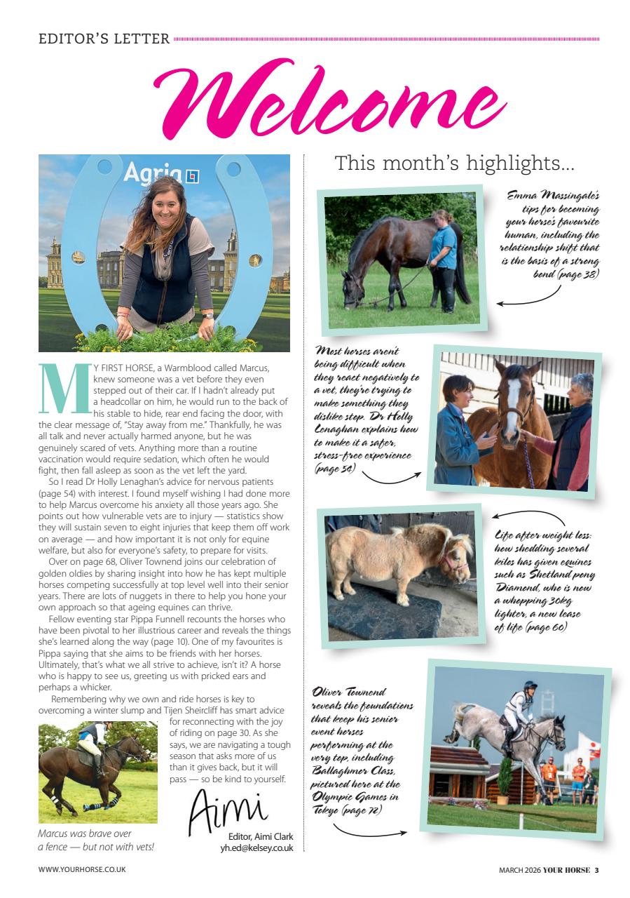 Your Horse Preview Pages