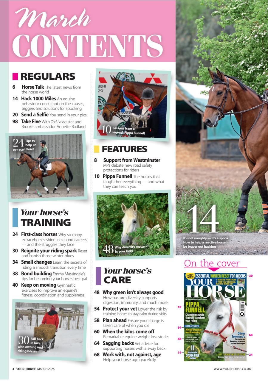 Your Horse Preview Pages