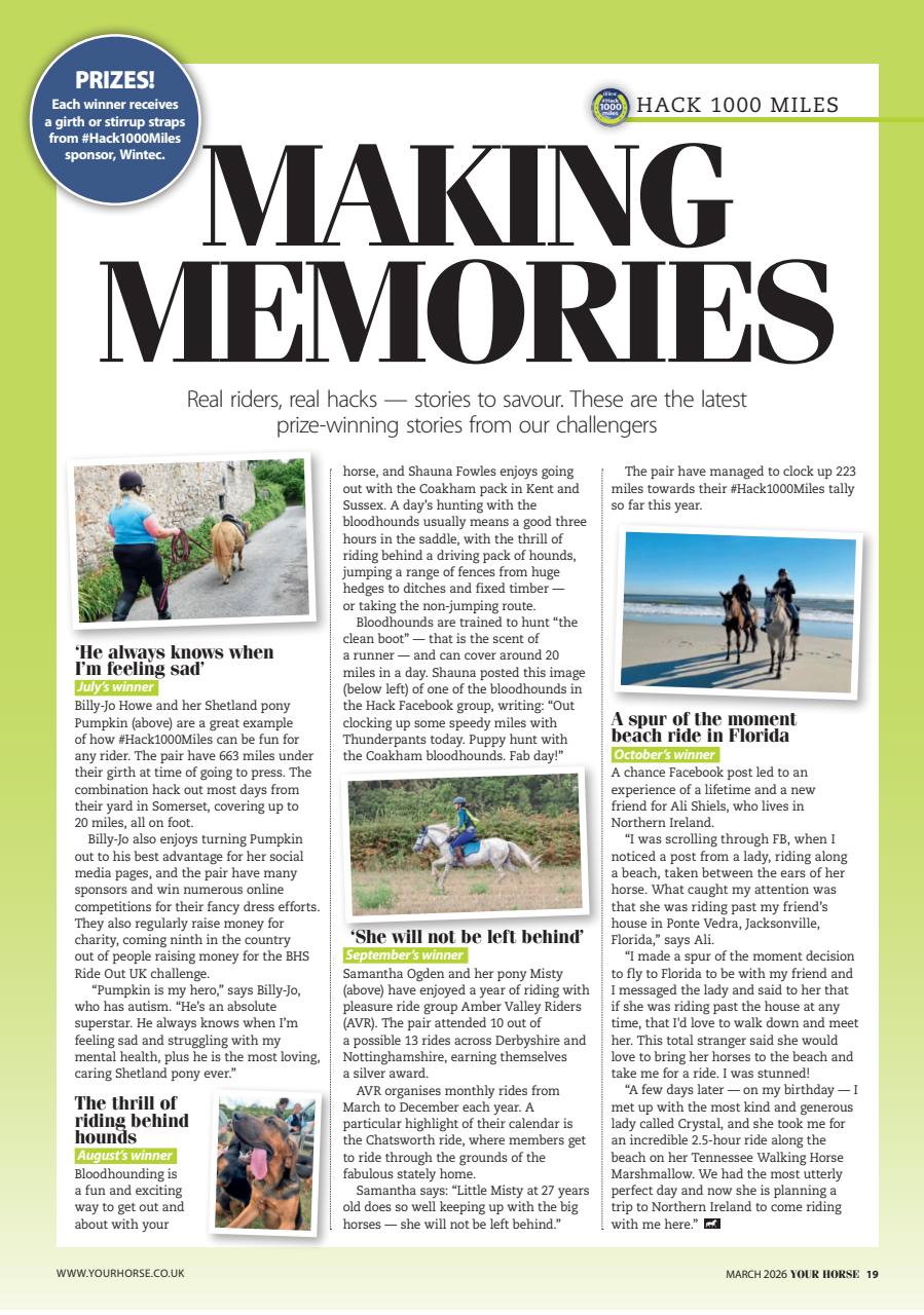 Your Horse Preview Pages