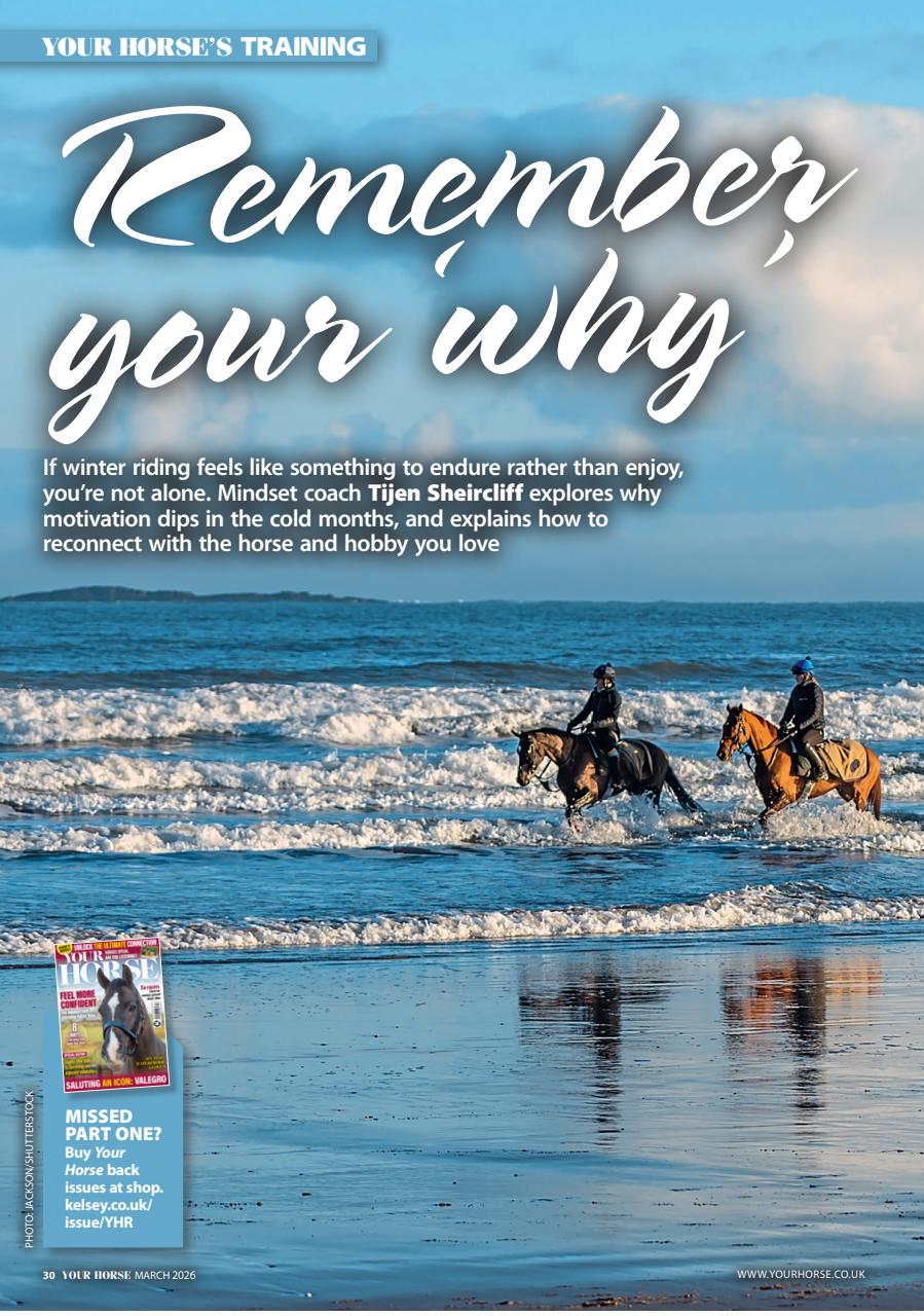 Your Horse Preview Pages