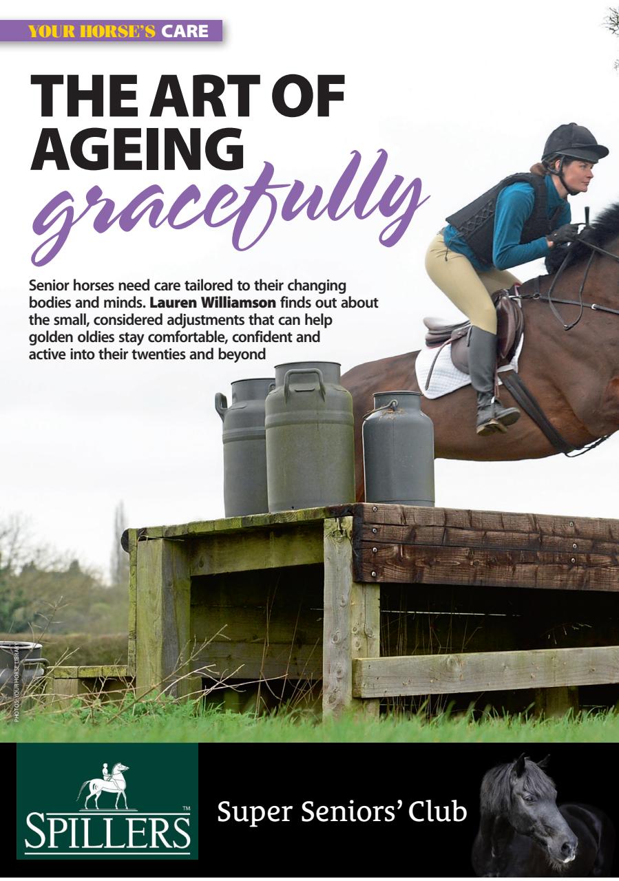 Your Horse Preview Pages