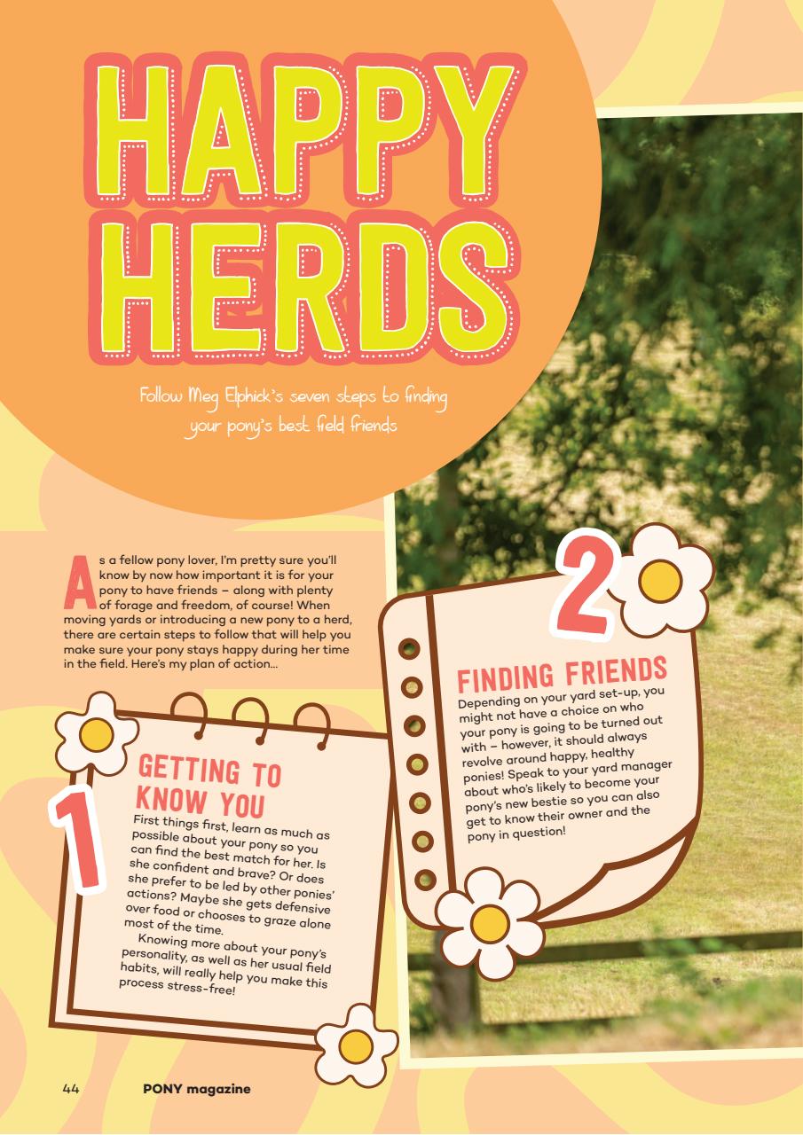 Pony Magazine Preview Pages