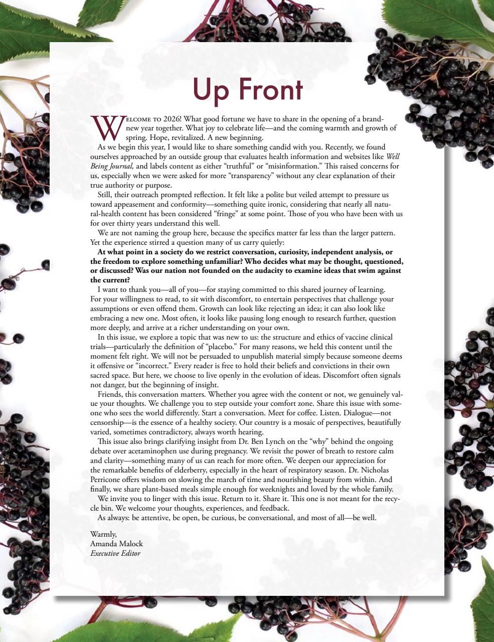 Well Being Journal Preview Pages