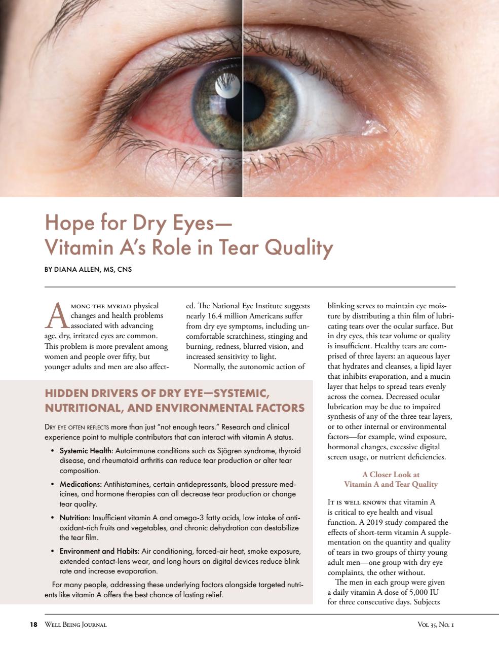 Well Being Journal Preview Pages