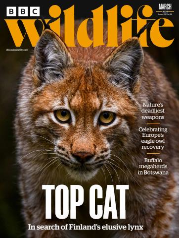 BBC Wildlife Magazine issue March 2026