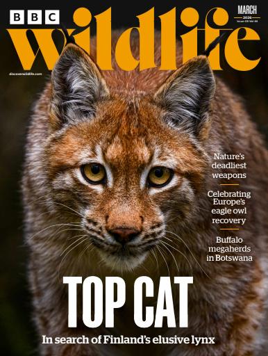 BBC Wildlife Magazine issue 