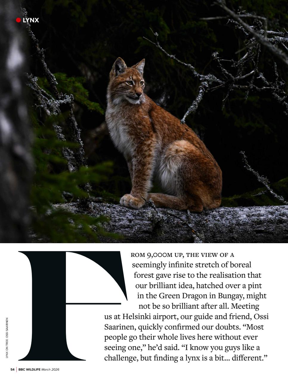 BBC Wildlife Magazine Preview Pages