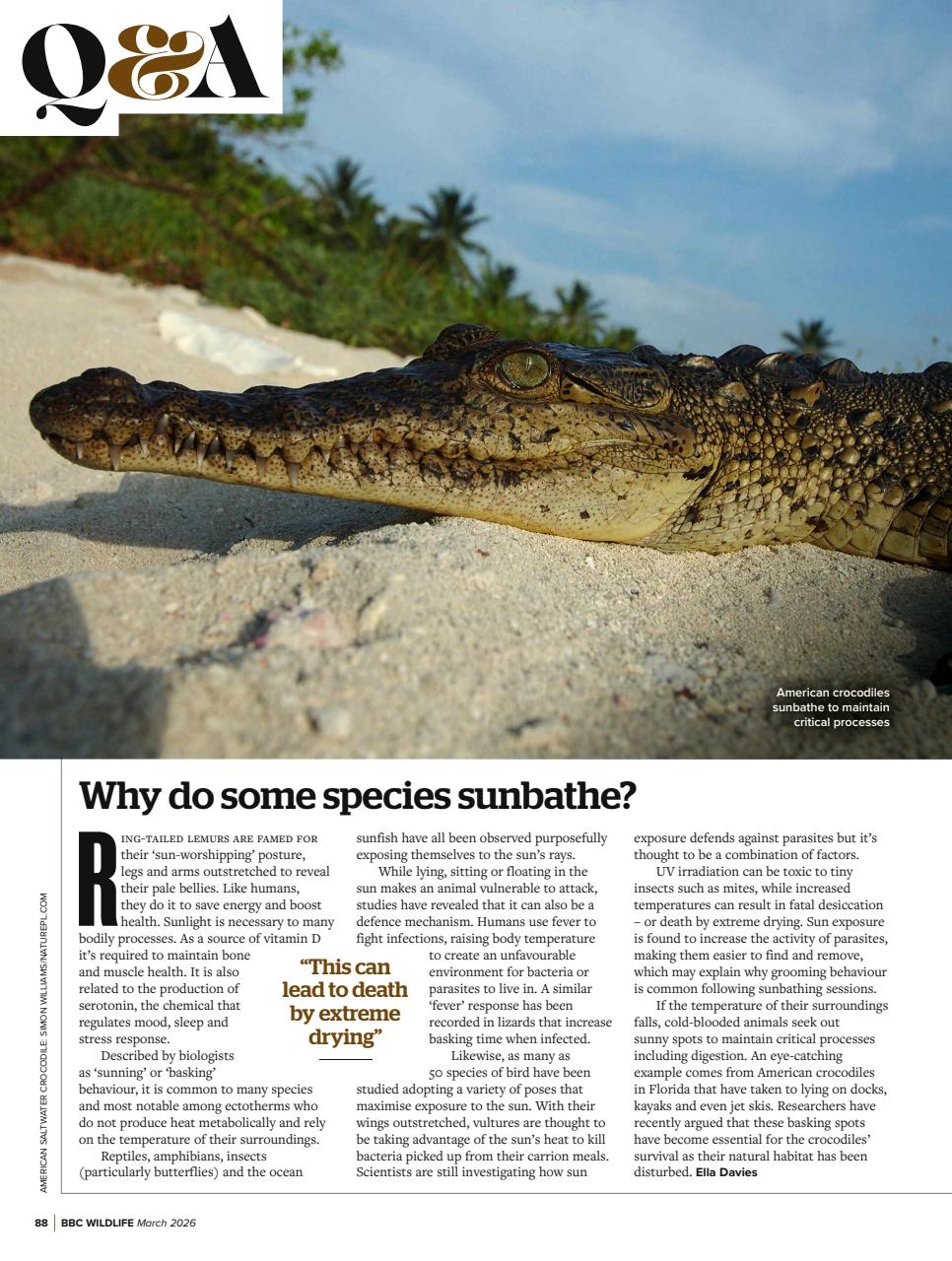 BBC Wildlife Magazine Preview Pages
