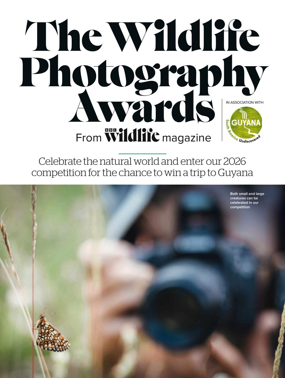 BBC Wildlife Magazine Preview Pages