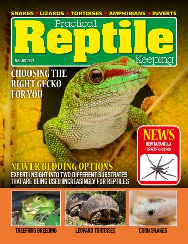 Practical Reptile Keeping issue January 2026