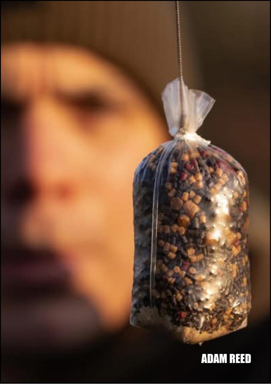 Big Carp Magazine Preview Pages