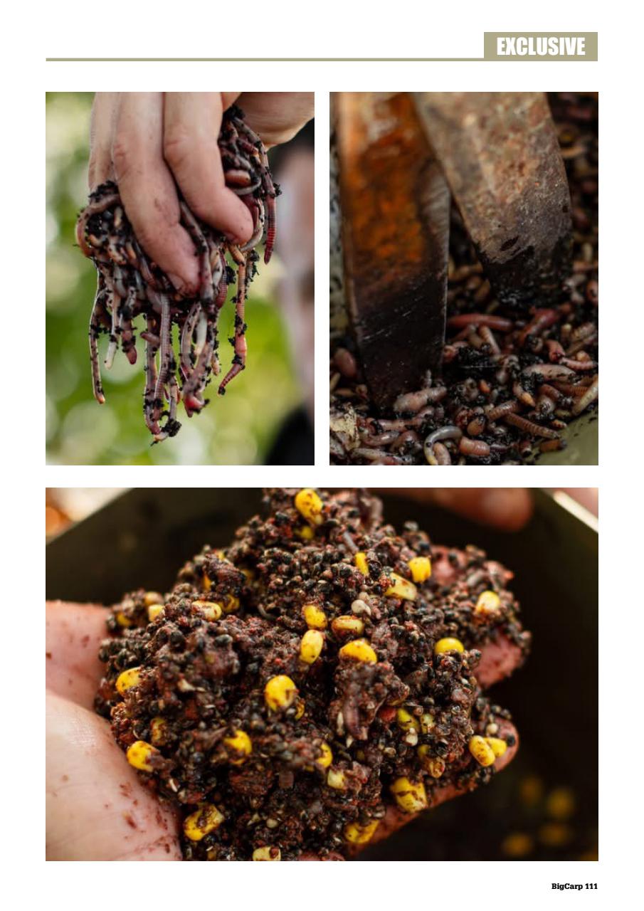 Big Carp Magazine Preview Pages