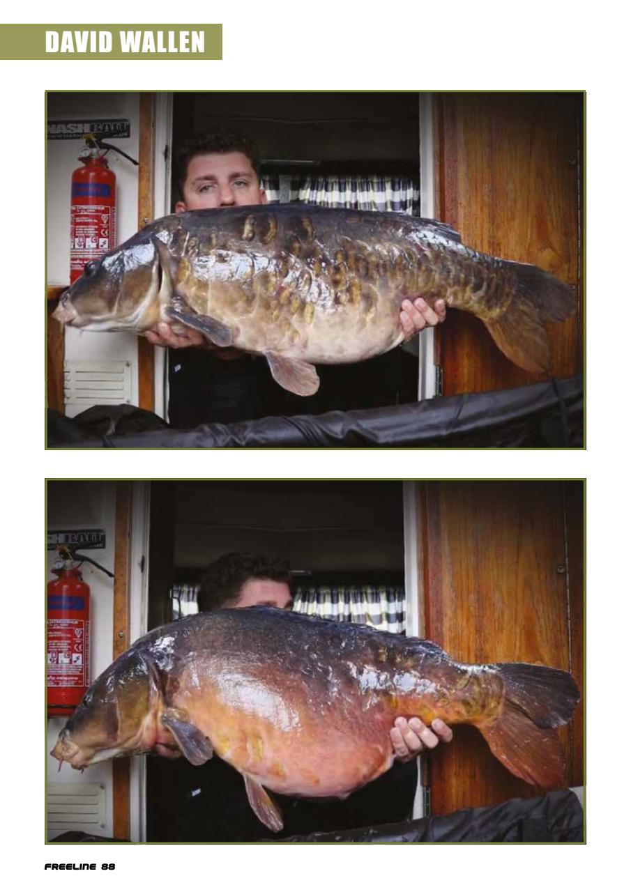 Big Carp Magazine Preview Pages