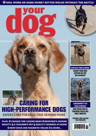 Your Dog issue Your Dog Magazine - March 2026