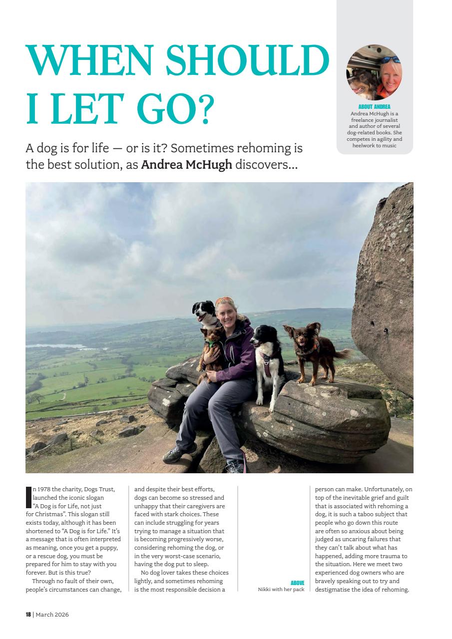 Your Dog Preview Pages