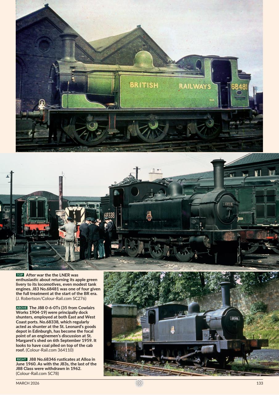 Backtrack Preview Pages