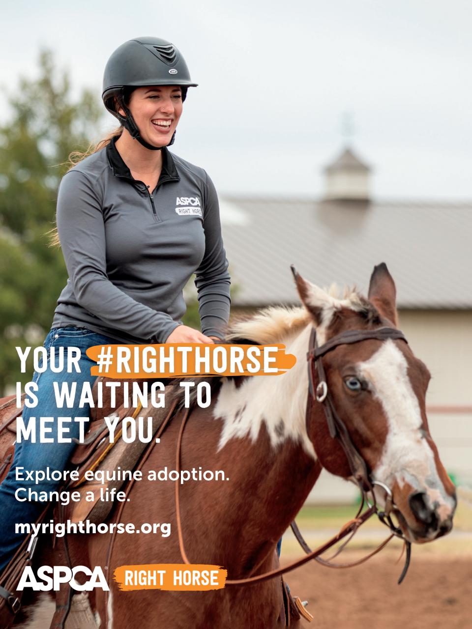 Horse Illustrated Magazine Preview Pages