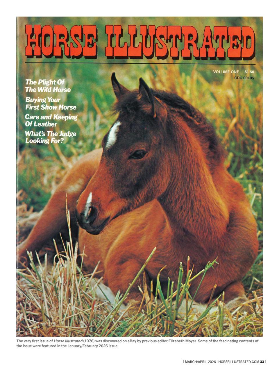 Horse Illustrated Magazine Preview Pages