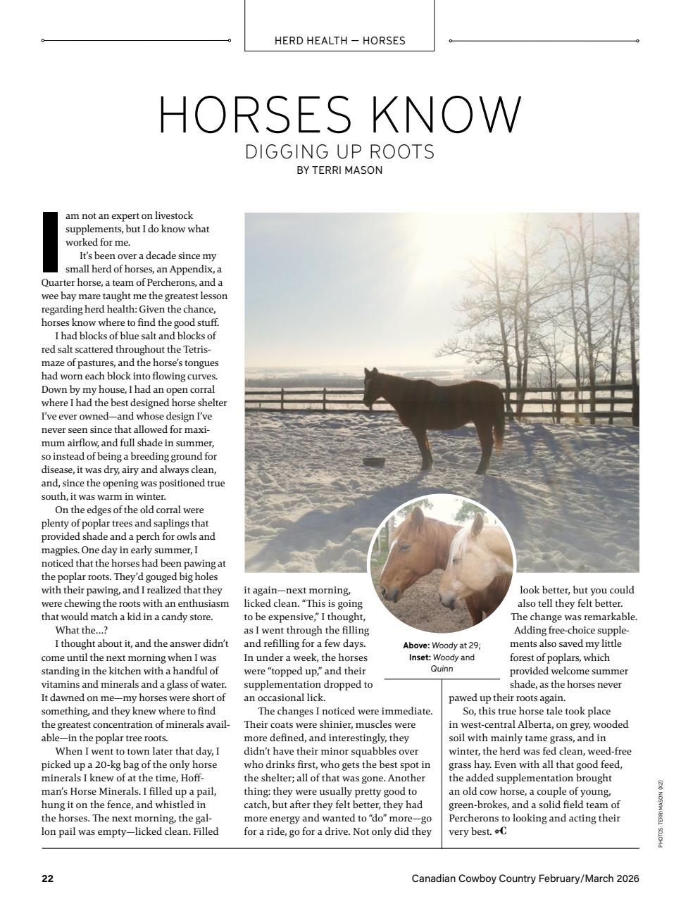 Canadian Cowboy Country Preview Pages