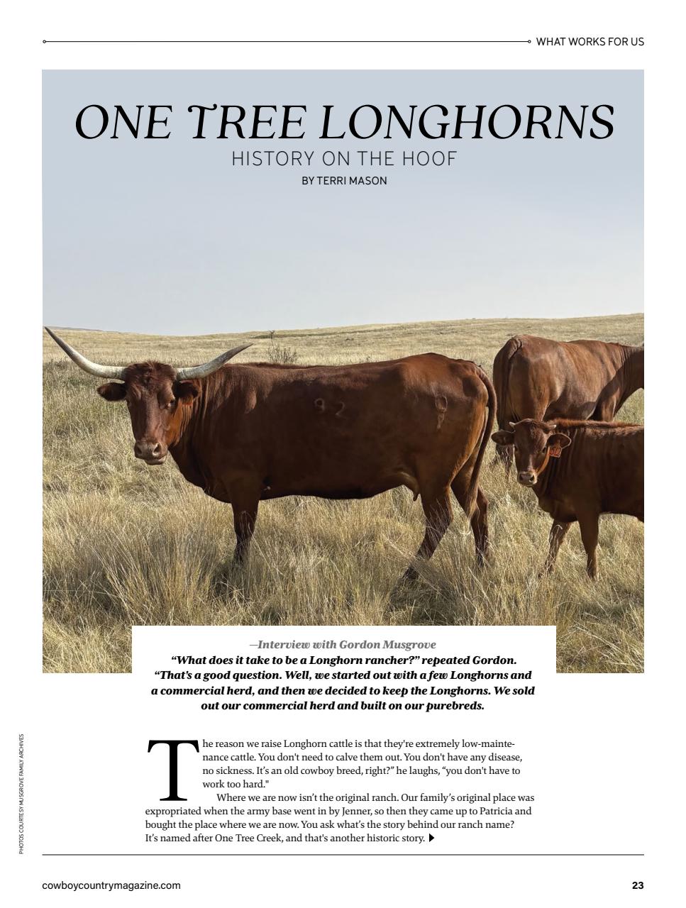 Canadian Cowboy Country Preview Pages