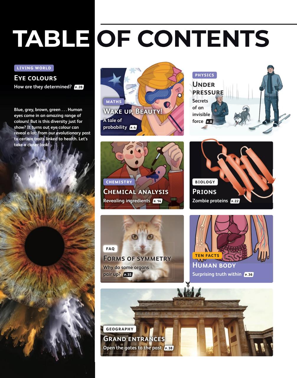 OYLA Magazine Preview Pages