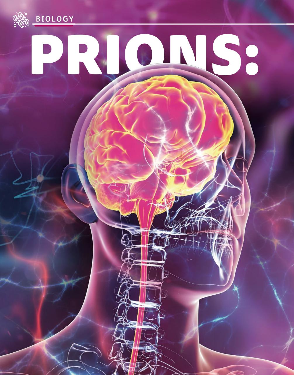 OYLA Magazine Preview Pages