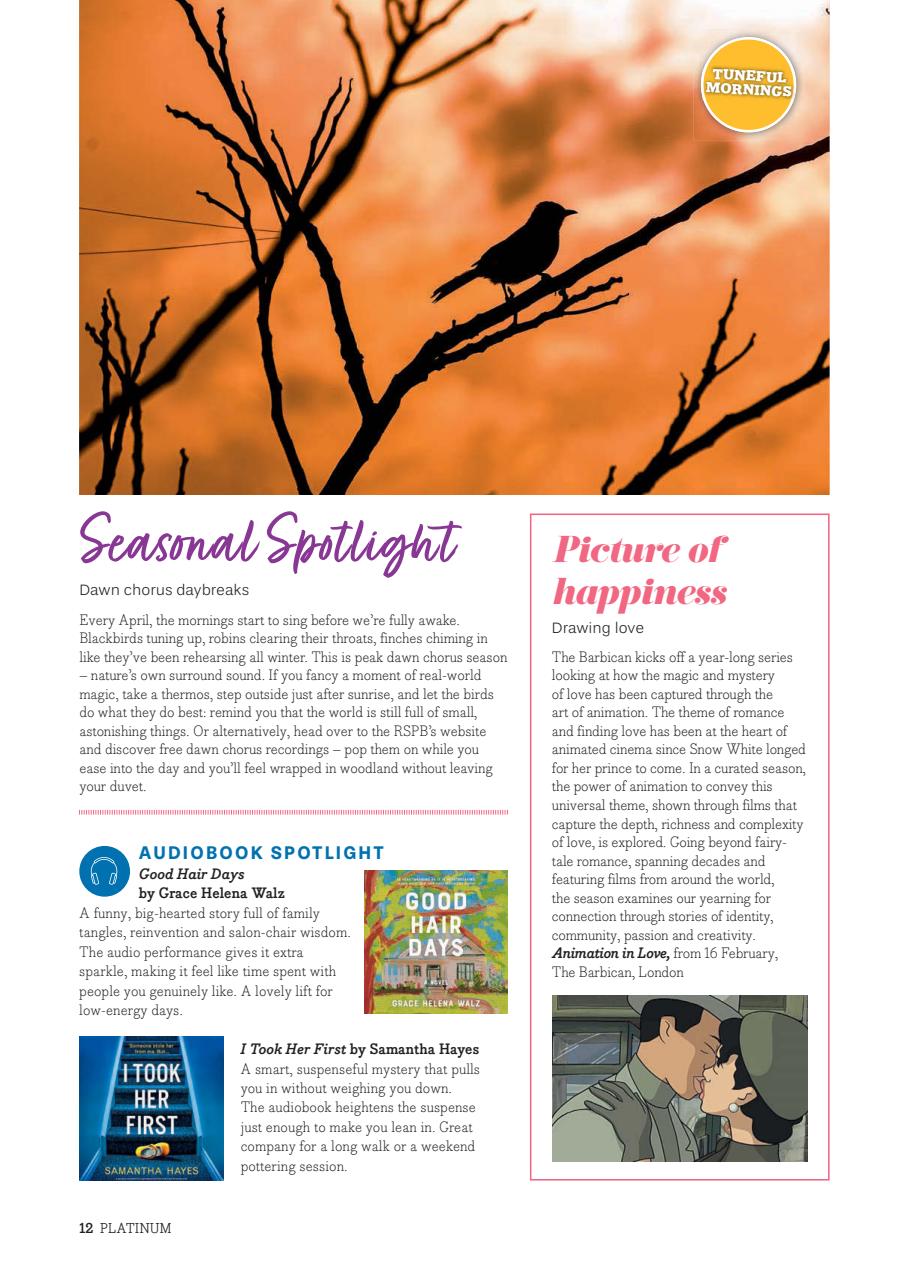 Platinum Preview Pages