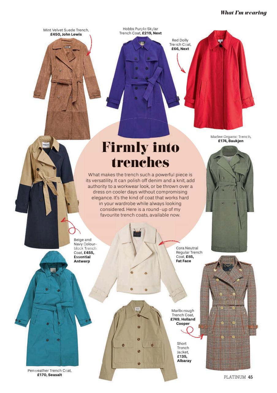 Platinum Preview Pages