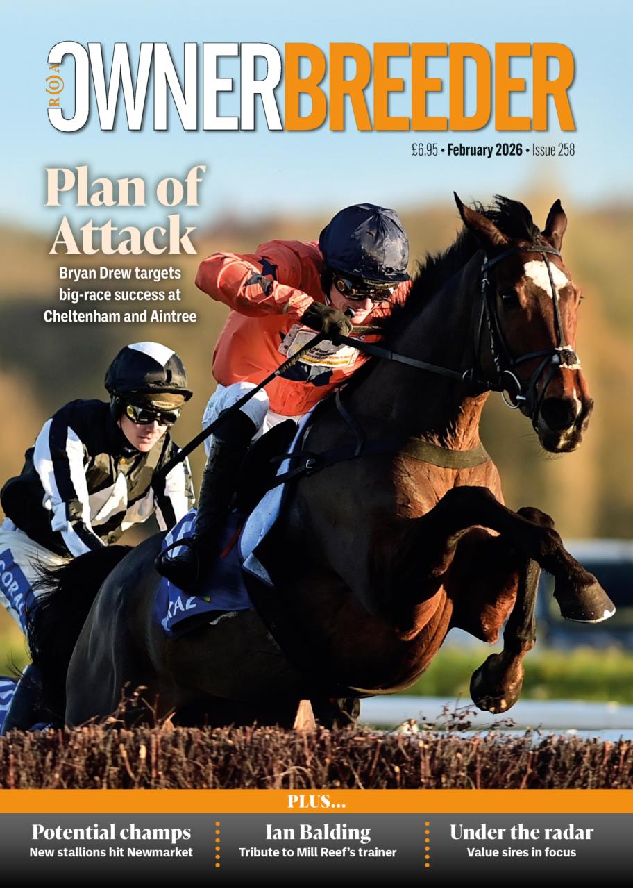 The Owner Breeder Preview Pages