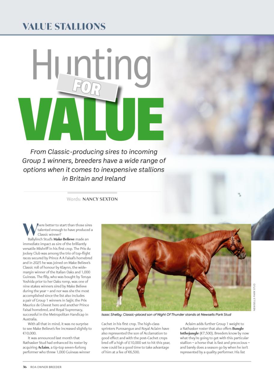 The Owner Breeder Preview Pages