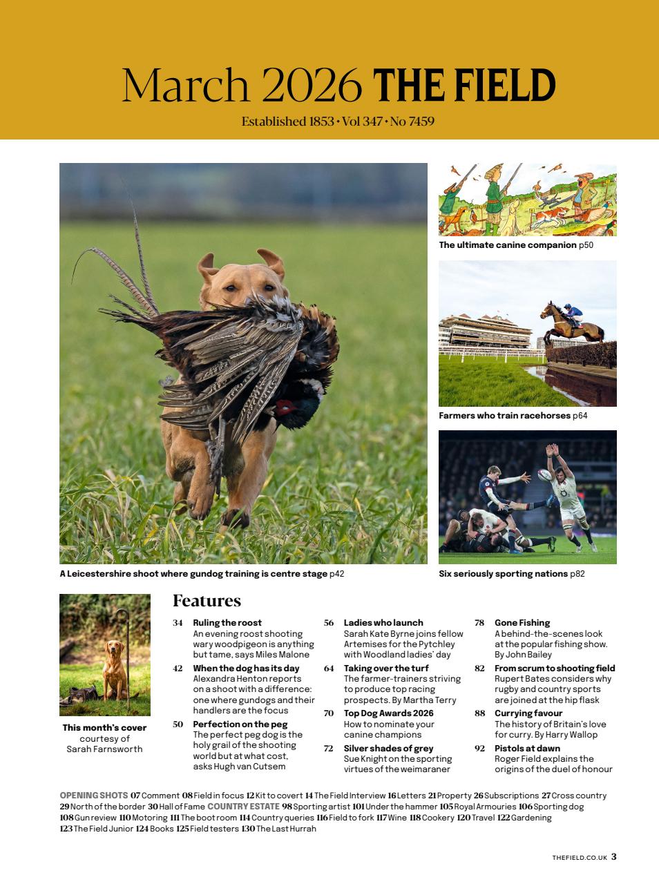 The Field Preview Pages