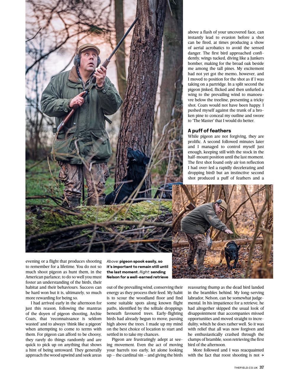 The Field Preview Pages