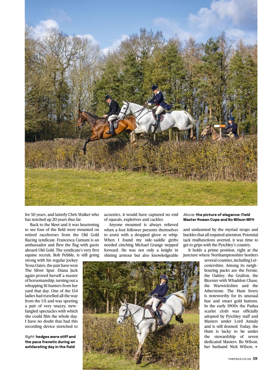 The Field Preview Pages