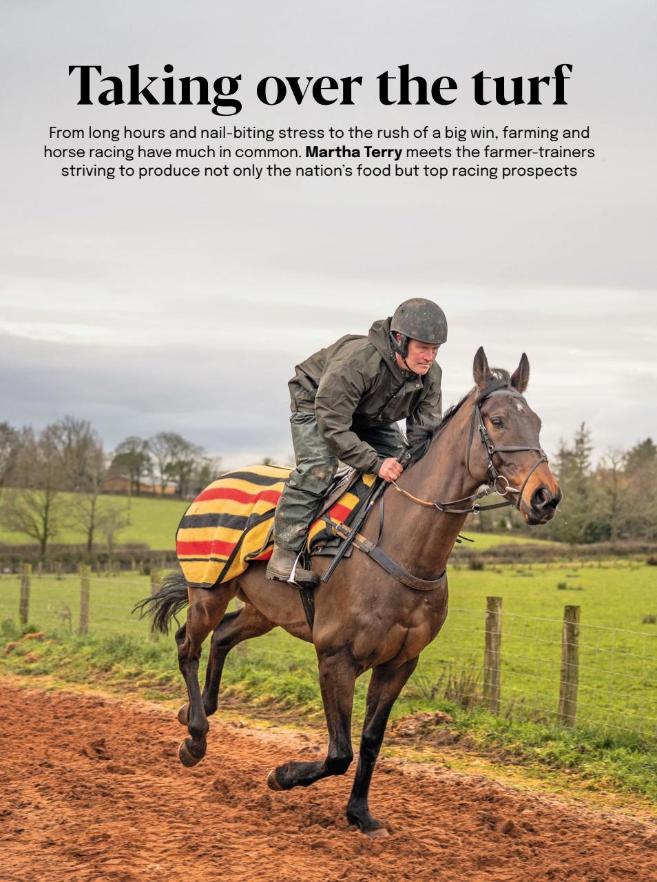 The Field Preview Pages