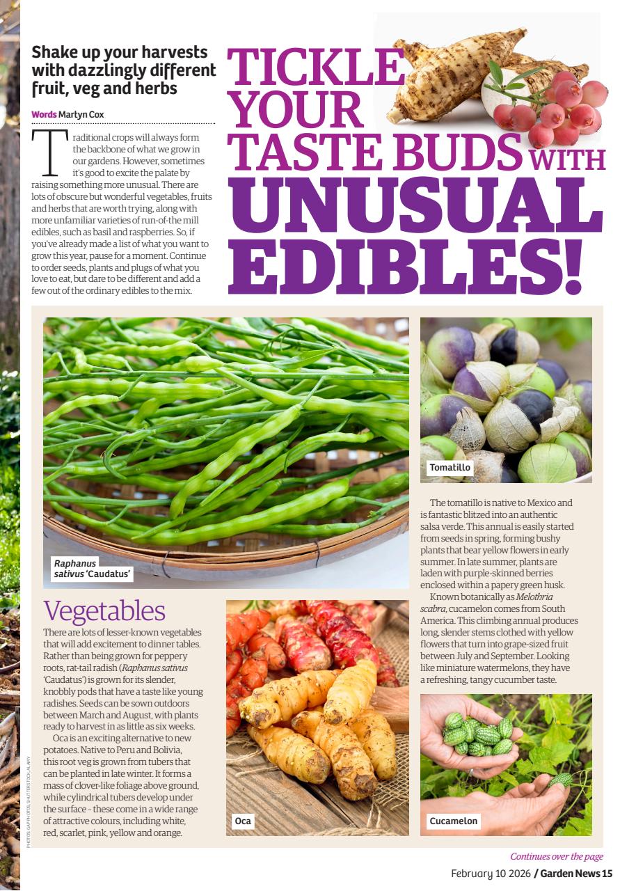 Garden News Preview Pages