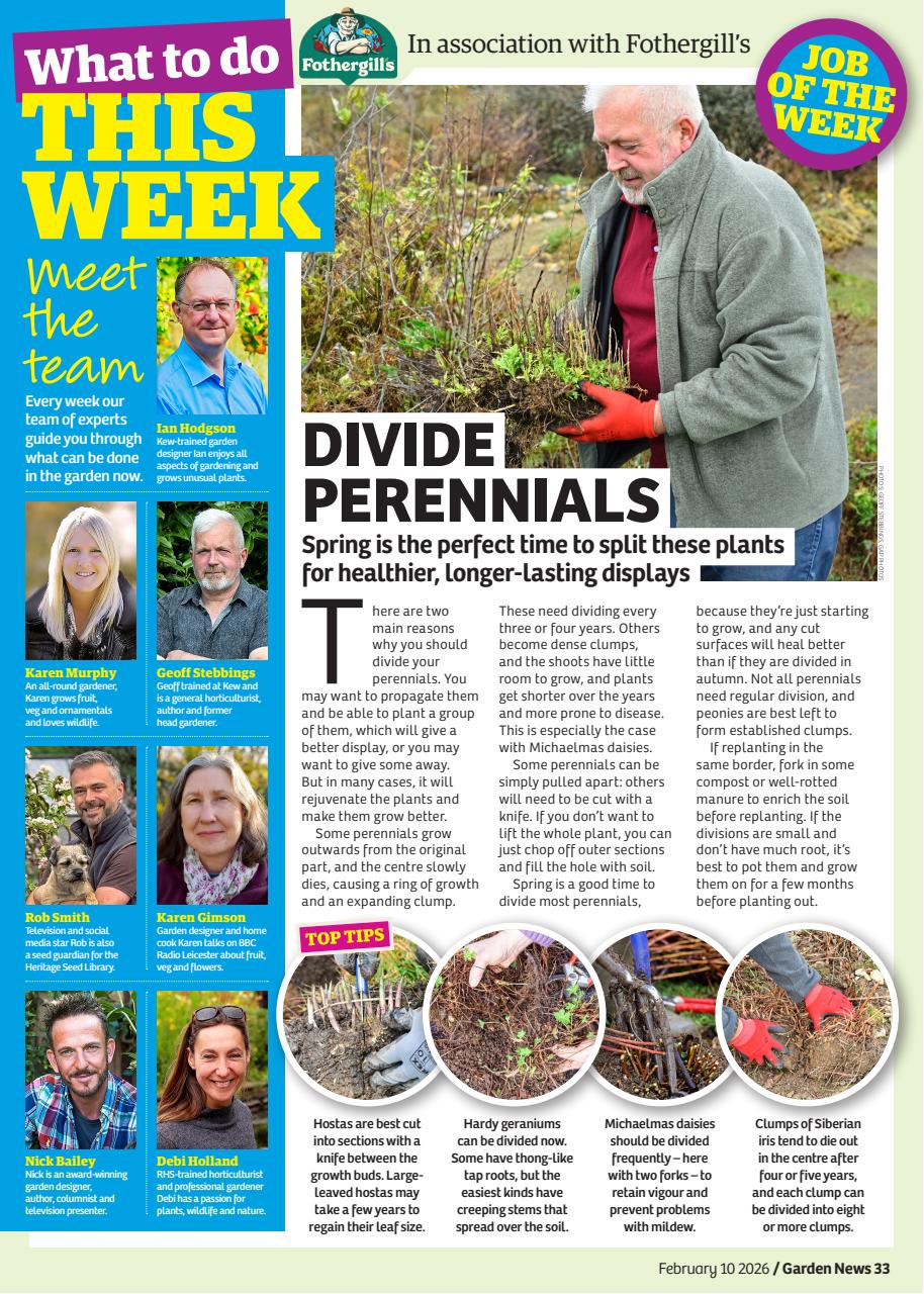 Garden News Preview Pages